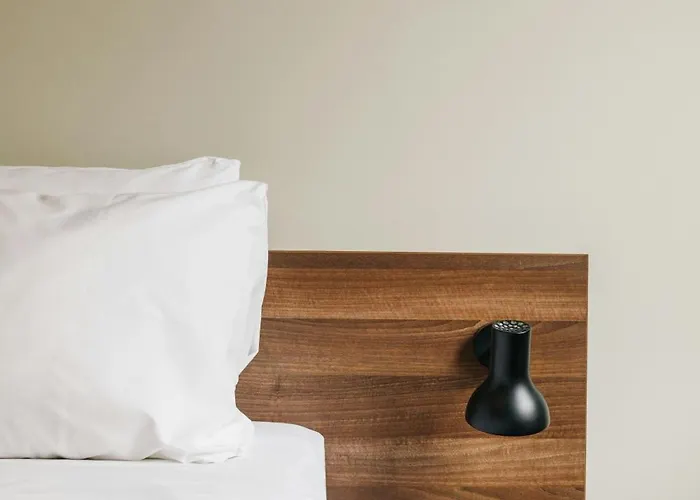 The Social Hub La Haye